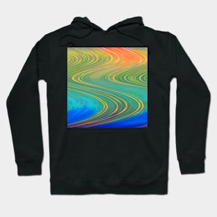 serpentine cord Hoodie